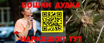 jwh Шебекино