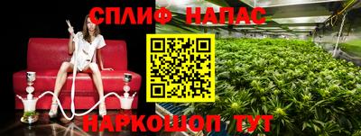 jwh Шебекино
