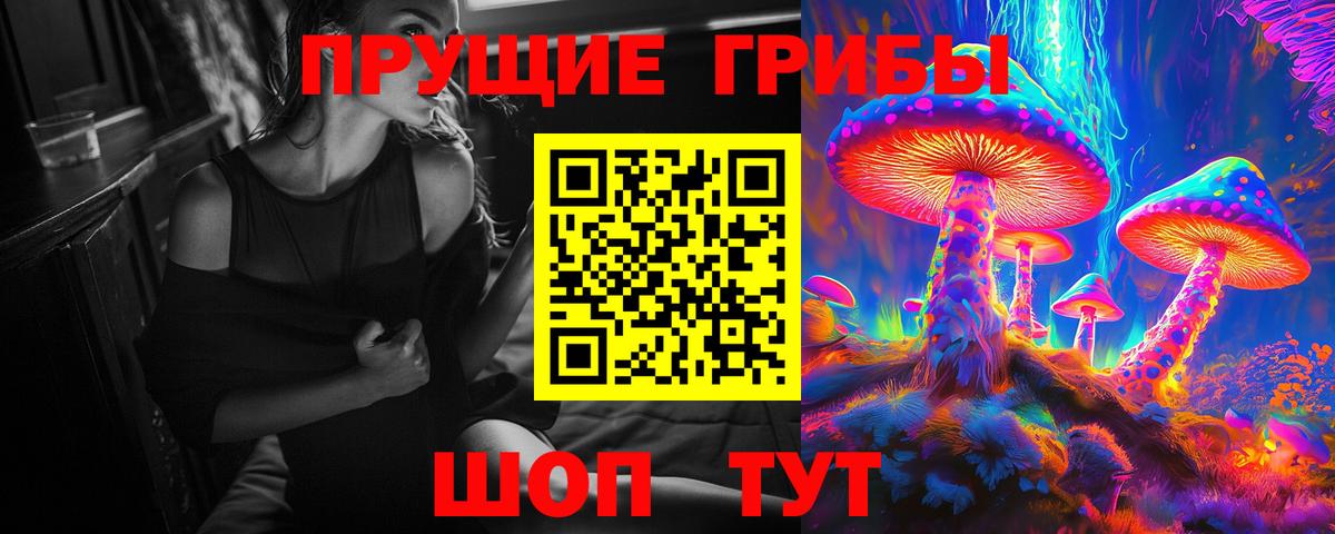 Псилоцибиновые грибы Psilocybe Всеволожск