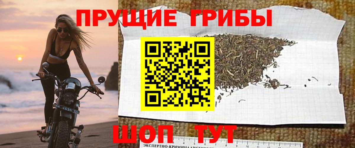 Псилоцибиновые грибы Magic Shrooms  Псилоцибиновые грибы Magic Shrooms  Всеволожск  Вход с VPN 